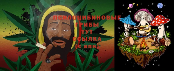спиды Зерноград