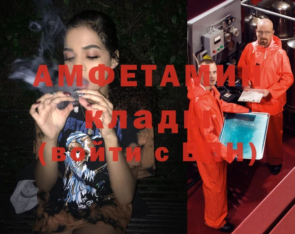 ALPHA PVP Инсар