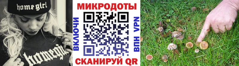 Купить где  Белая Холуница  Галлюциногенные грибы мицелий 